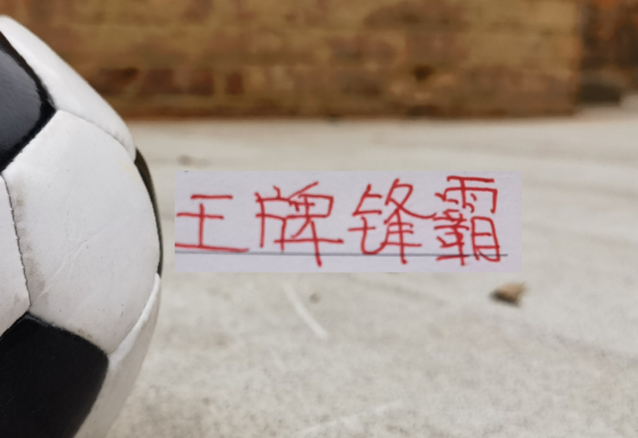 杏彩体育官网-王牌锋霸武磊 莱昂纳多复出！海港就差蒋光太 就能组建最强阵容了|上海海港|锋线|加布里埃尔·巴尔博扎|北京国安|超级杯_新浪体育_新浪新闻